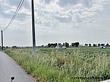 Zandlemig Vlaanderen